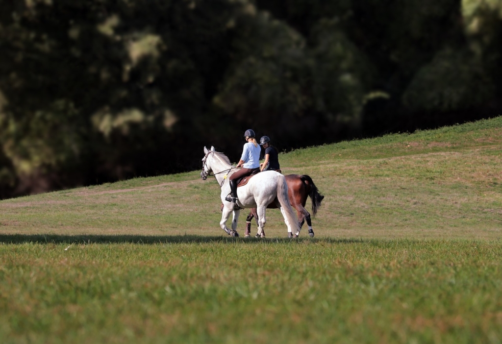 Rutas a caballo Córdoba